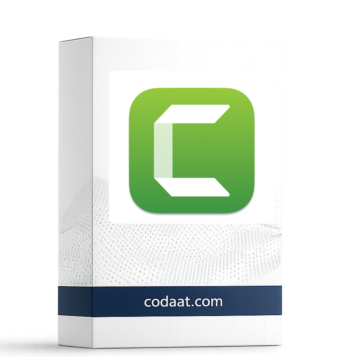 Camtasia 2025