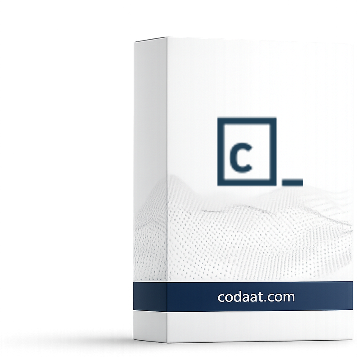 Codecademy Pro 12 Months