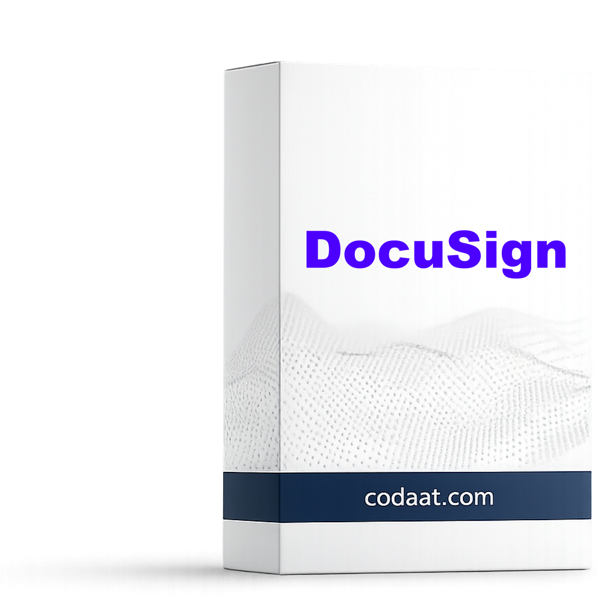 DocuSign Standard 12 Months