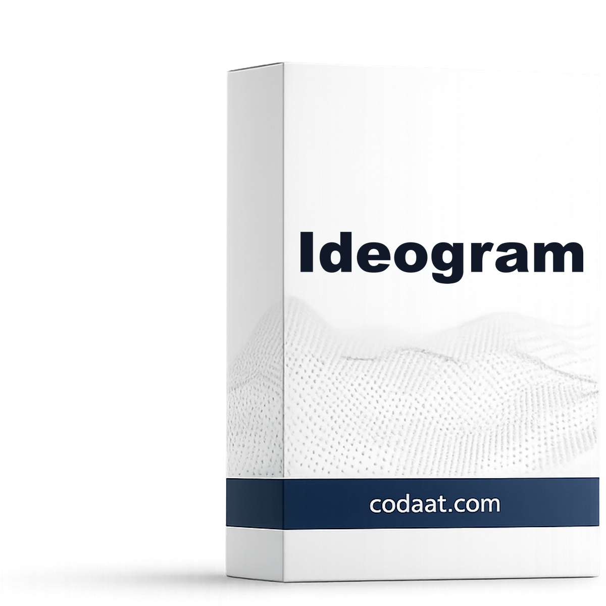 Ideogram Plus 1 Month