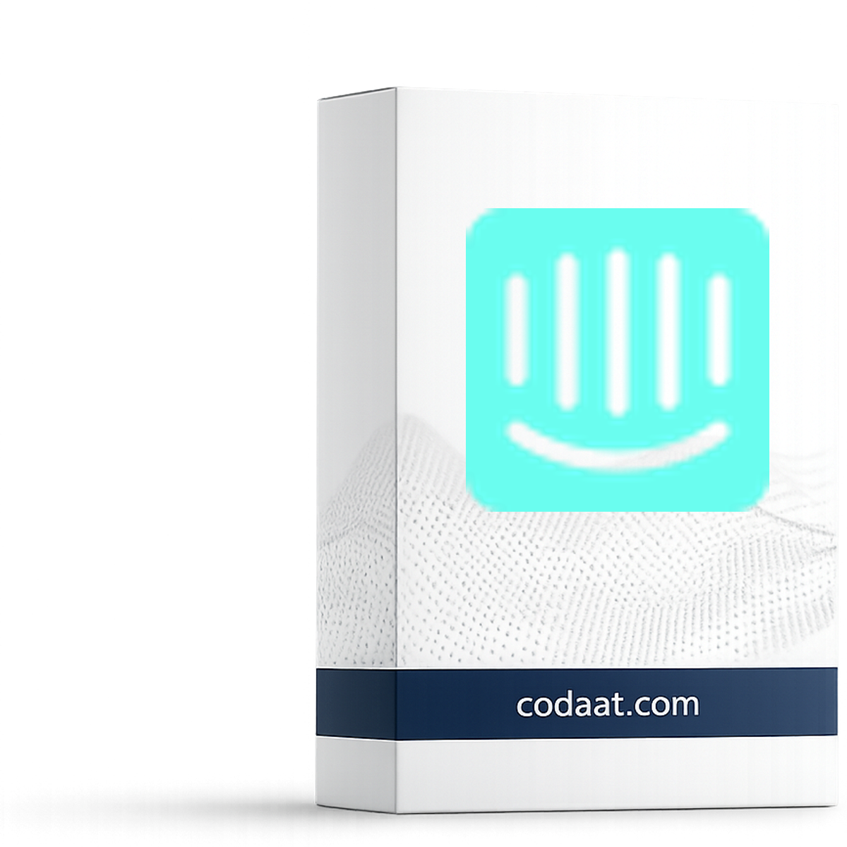 Intercom Starter 12 Months