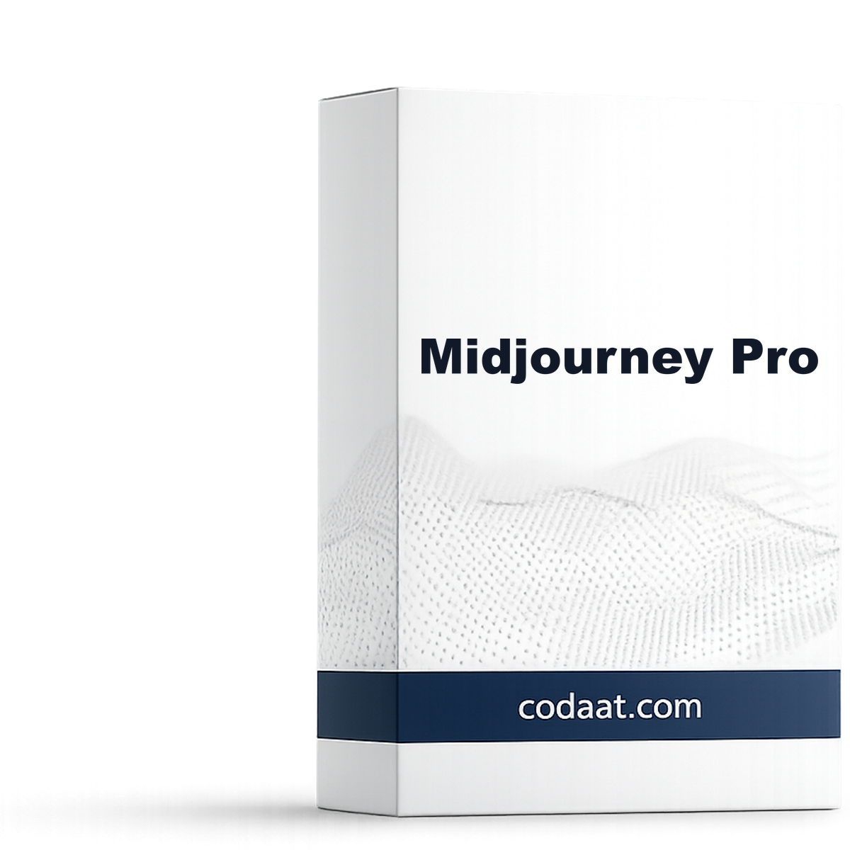 Midjourney Pro 1 Month
