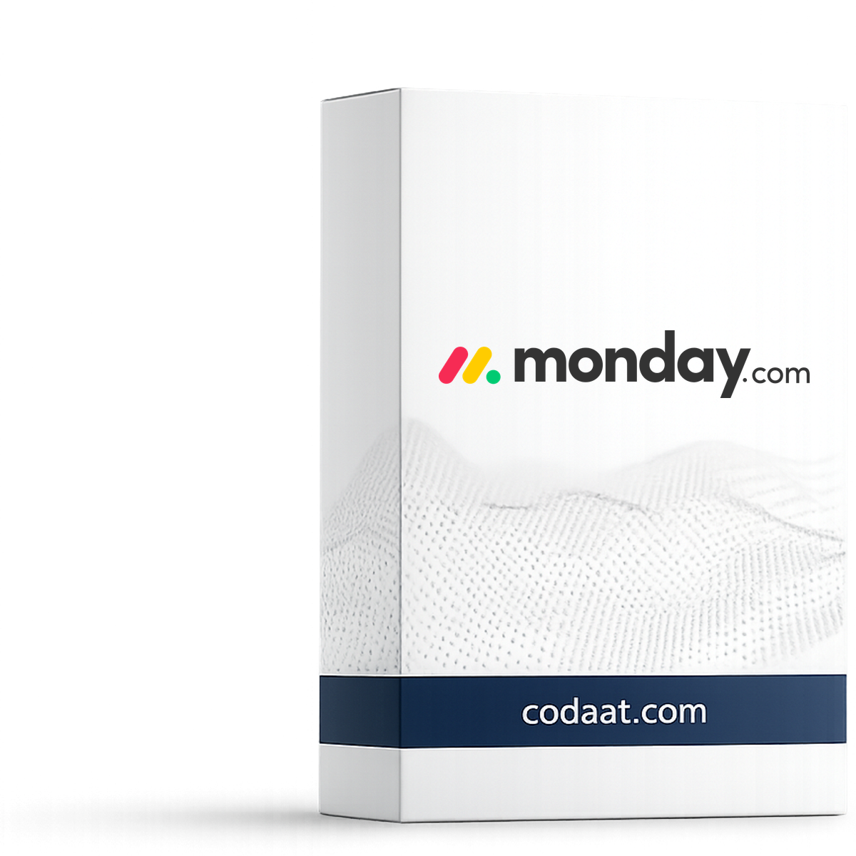 Monday.com Basic 12 Months