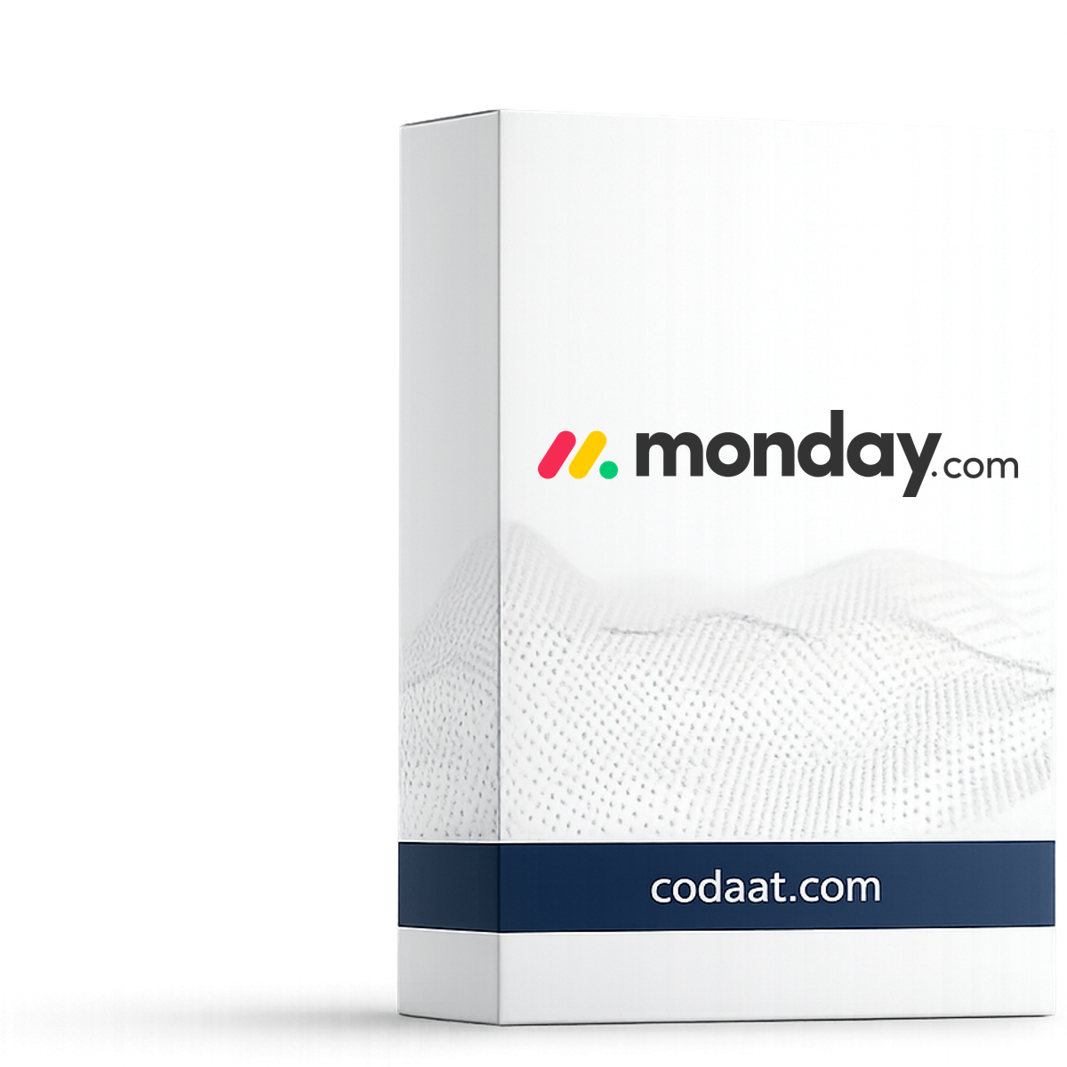Monday Sales CRM Pro 12 Months