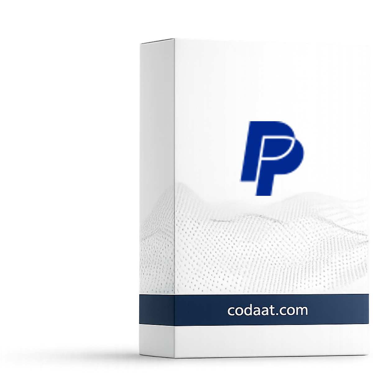 PayPal Business Checkout 12 Months