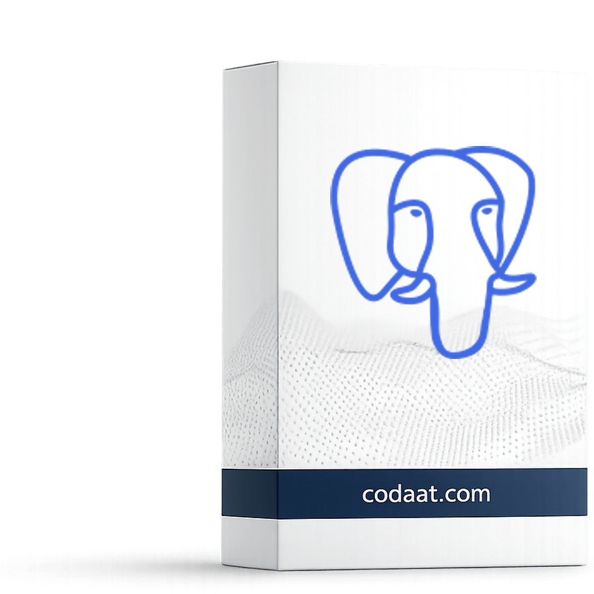 تنزيل PostgreSQL الرسمي
