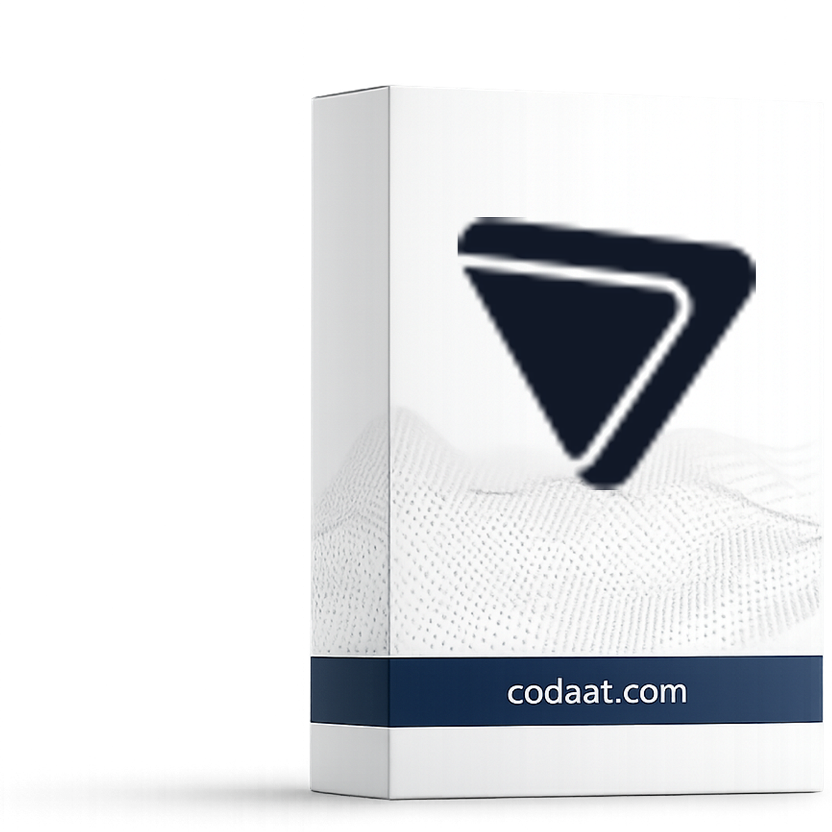 Proton VPN Plus 1 Year