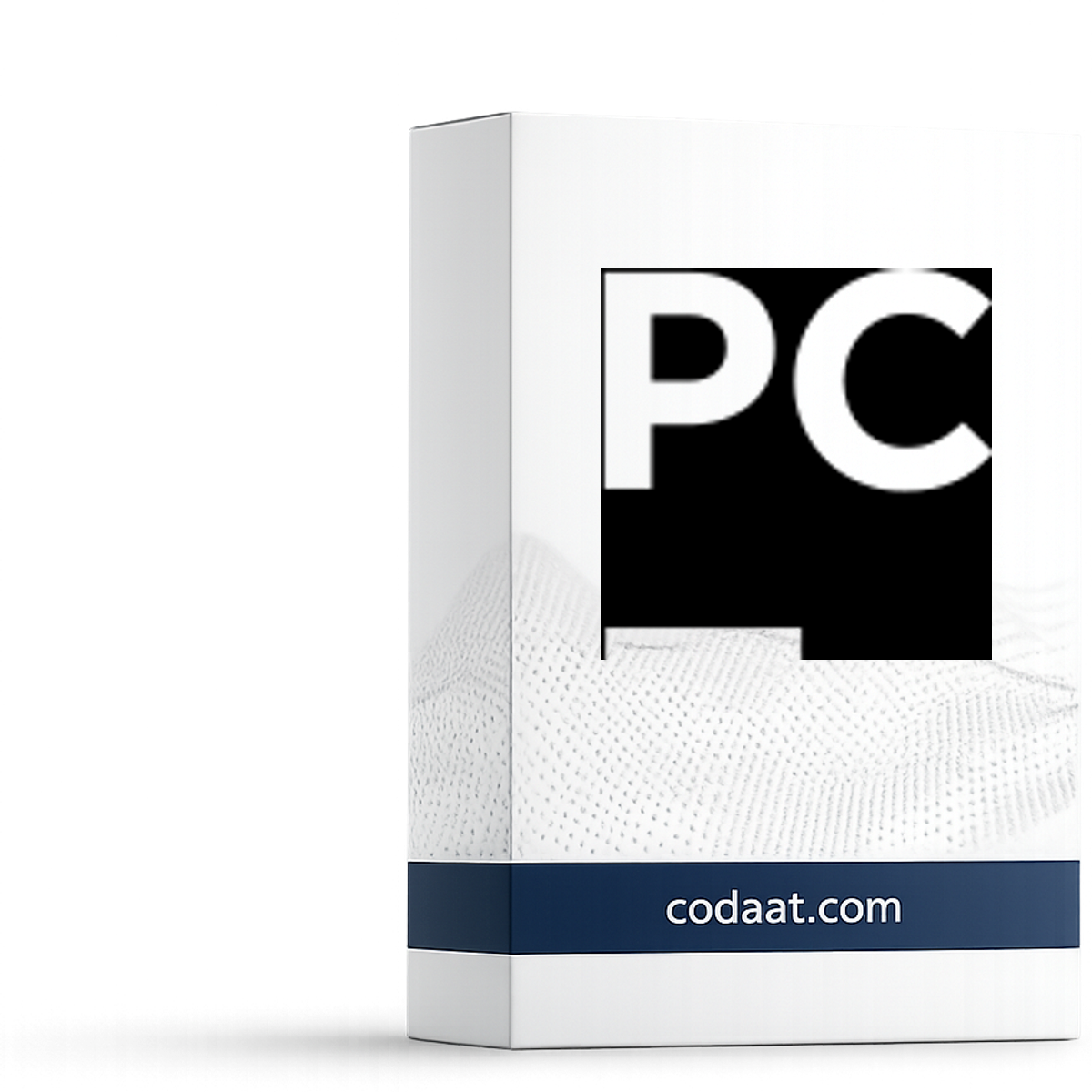 PyCharm Professional 12 Months