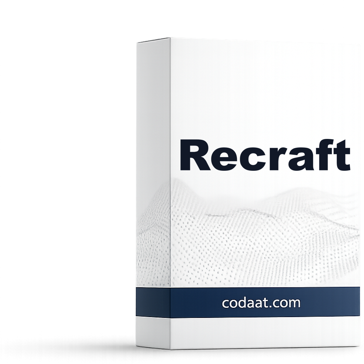 Recraft Pro 1 Month