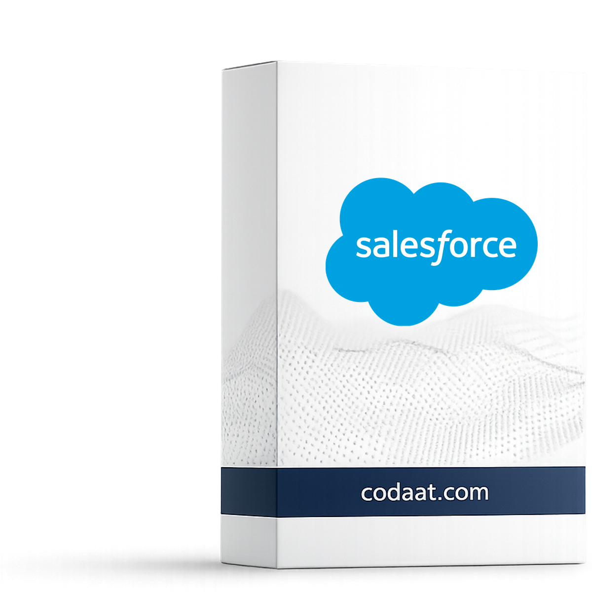 Salesforce Sales Cloud Essentials 12 Months