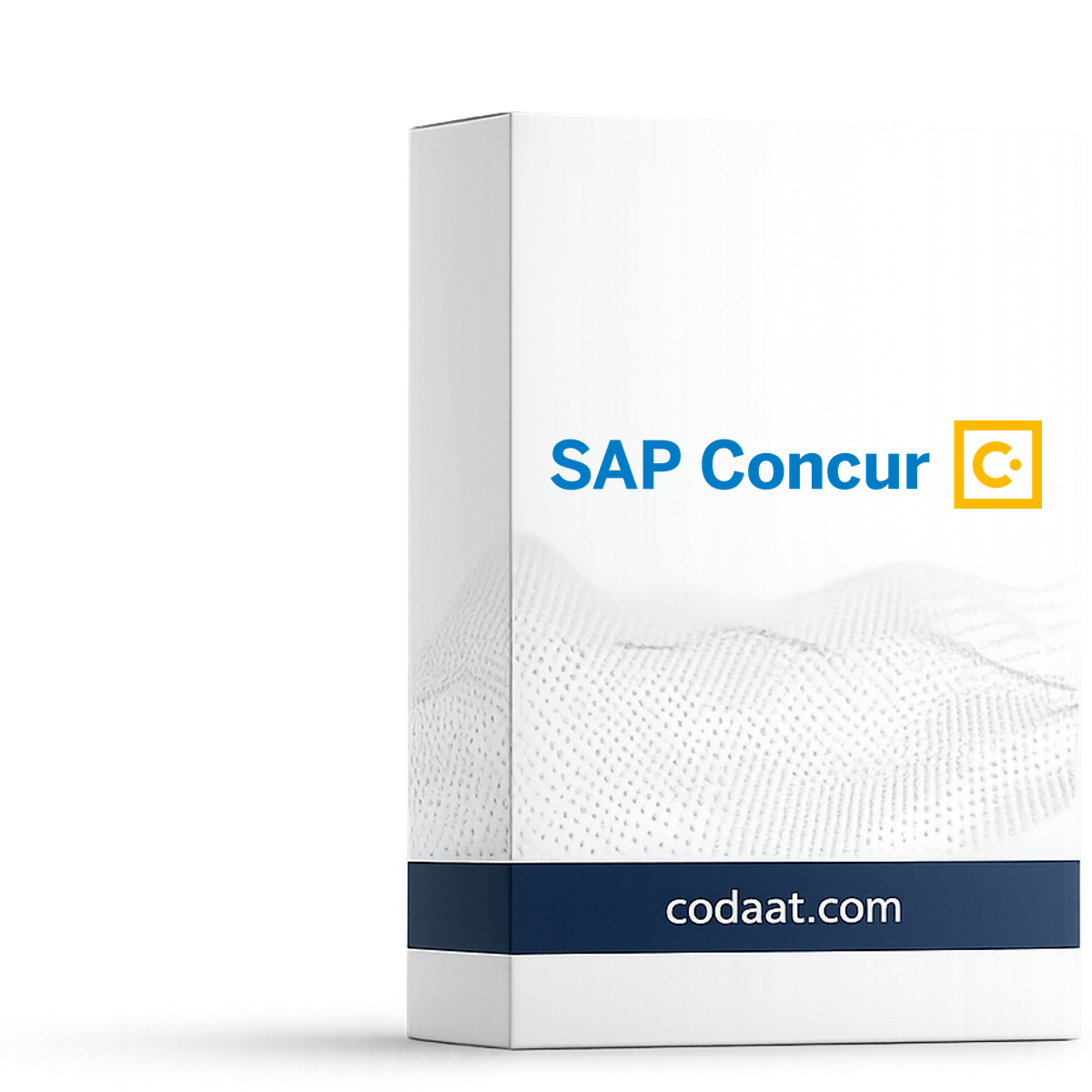 SAP Concur Expense 12 Months