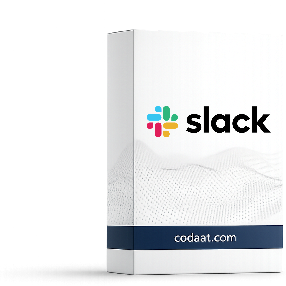 Slack Pro 12 Months