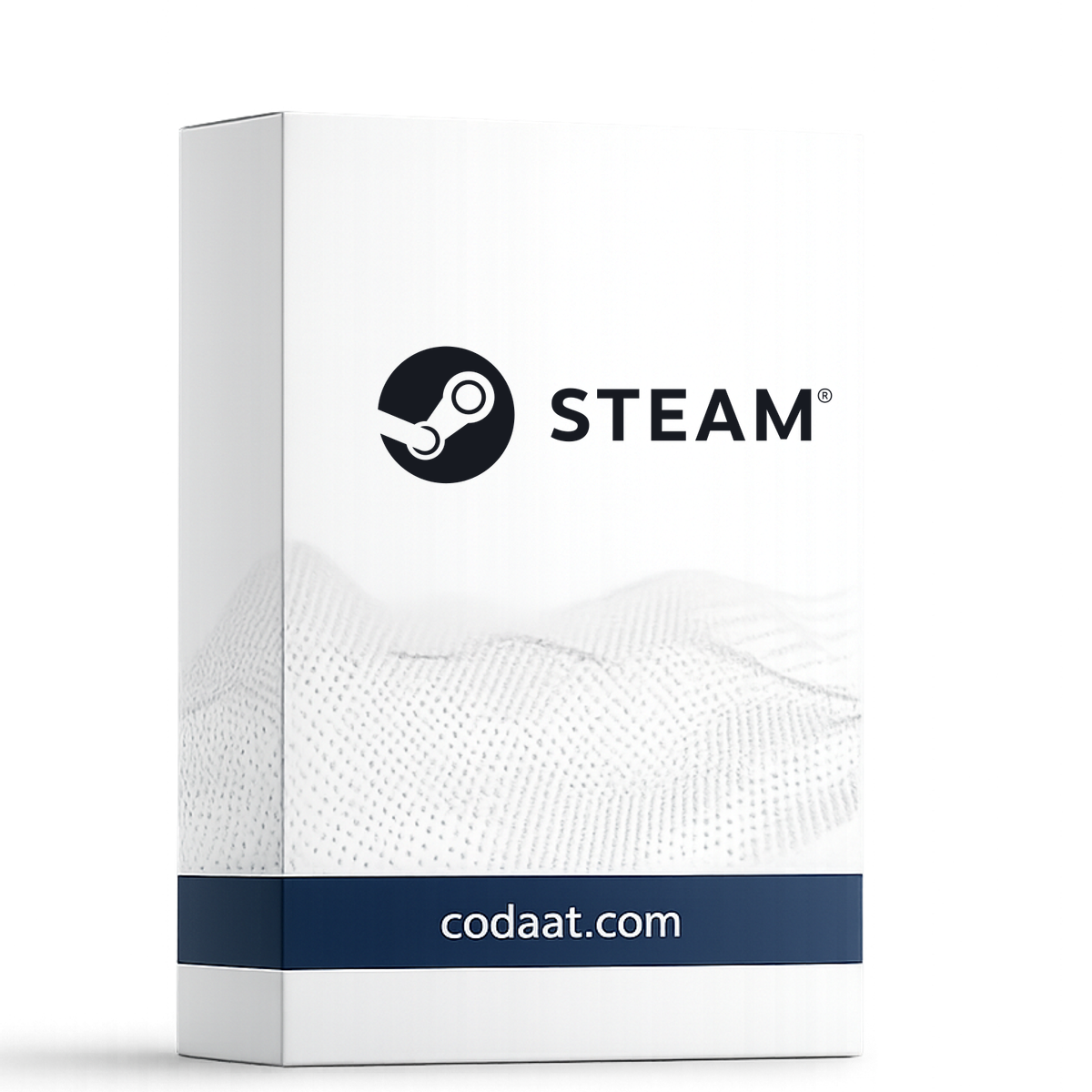 Steam Wallet 100 SAR