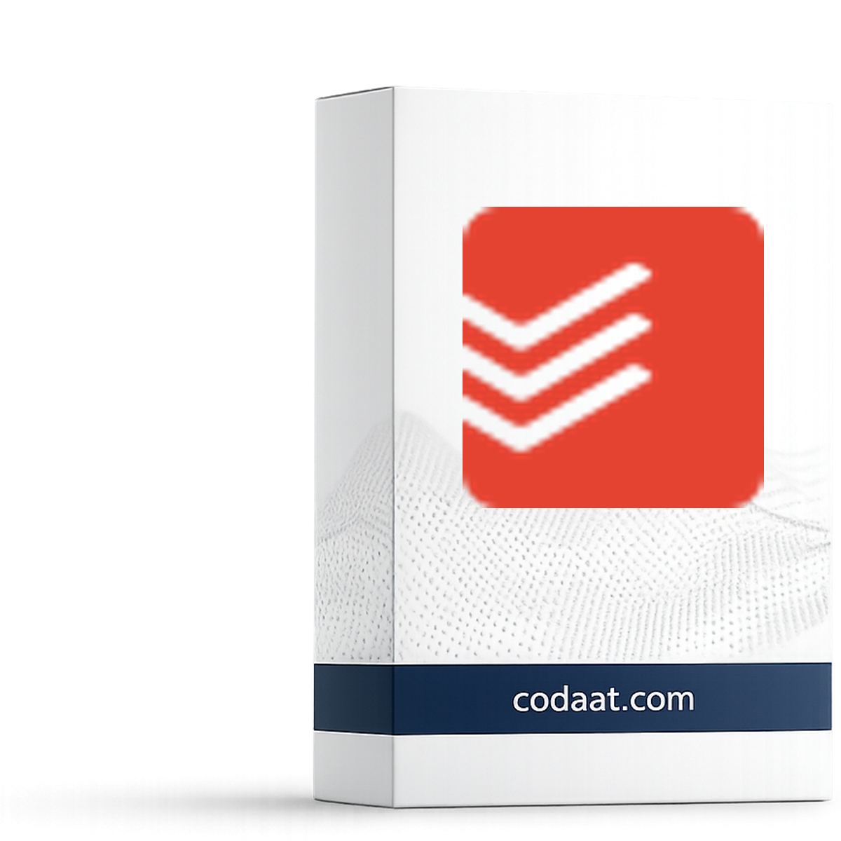 Todoist Pro 12 Months