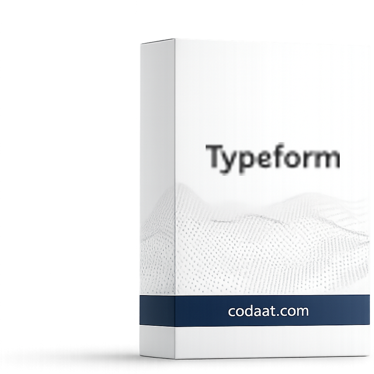 Typeform Basic 12 Months