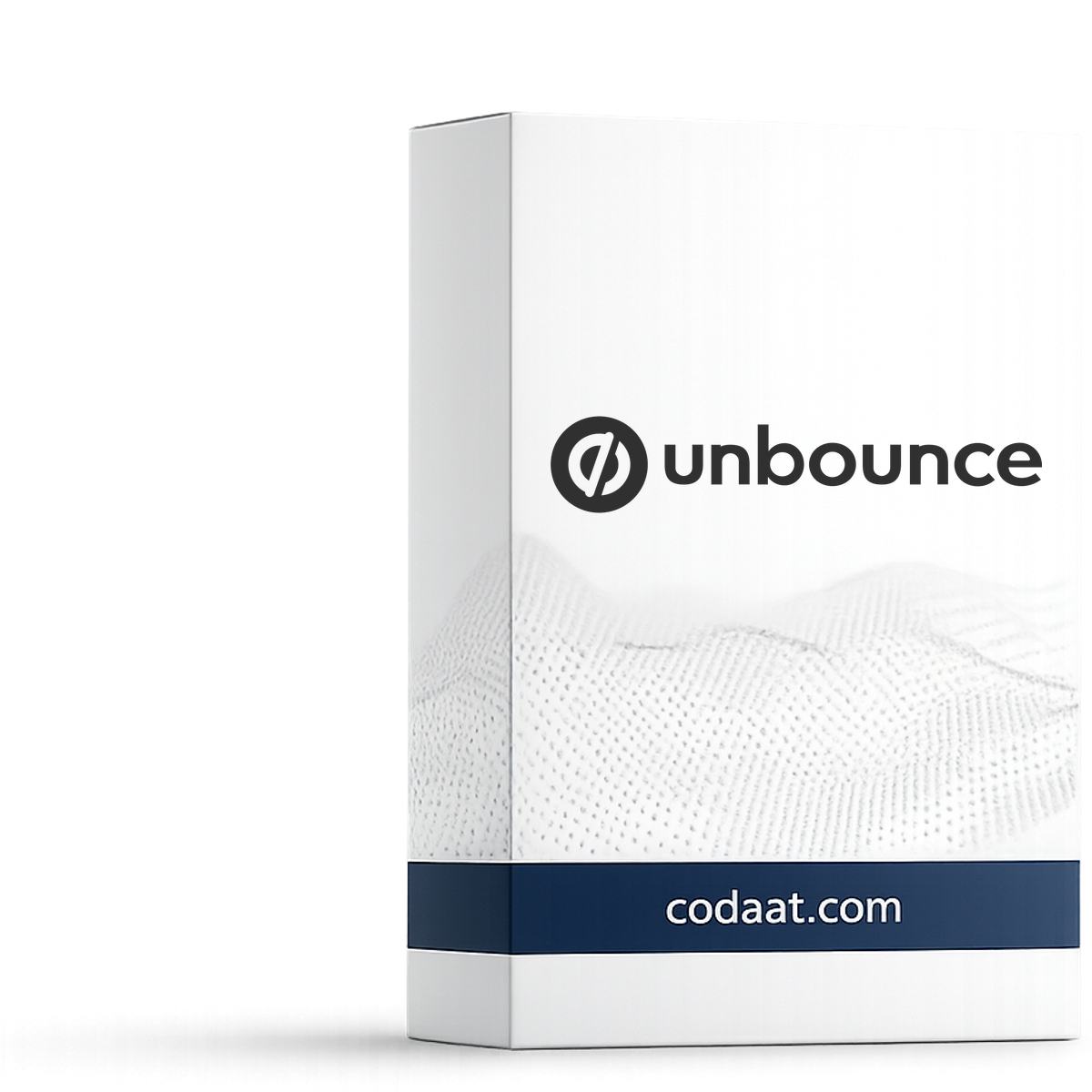 Unbounce Launch 12 Months
